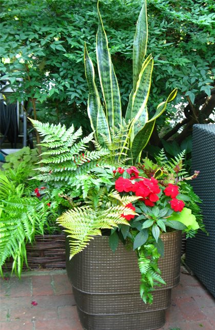 Container Garden
Container Gardens
Livable Landscapes
Wyndmoor, PA