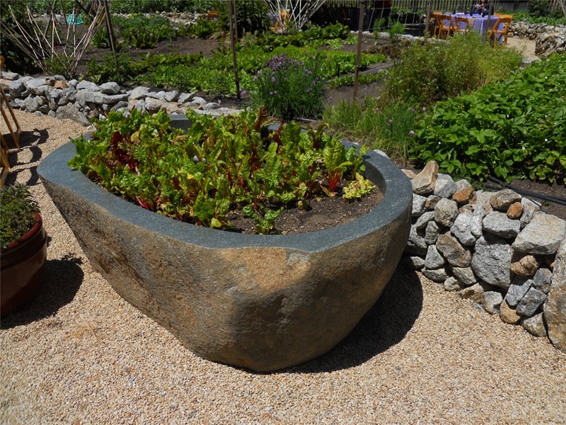 Planters, Planting Design
Container Gardens
Landscaping Network
Calimesa, CA