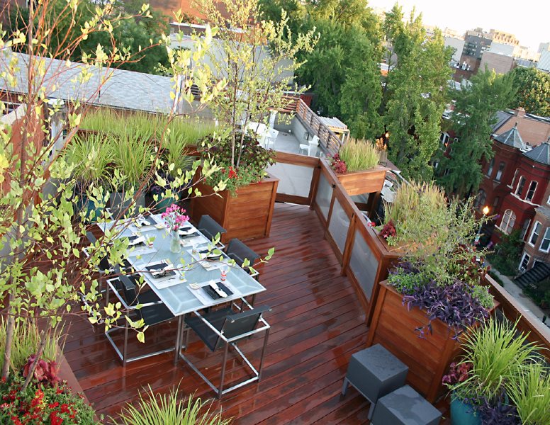 屋顶甲板，小甲板，屋顶户外生活甲板设计植物装饰器Olney，MD
