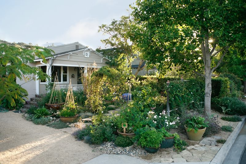 Front Yard Edible Garden
Food Garden
Grace Design Associates
Santa Barbara, CA