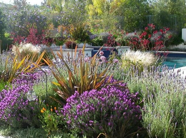 Drought Tolerant Landscape
Garden Design
Erin's Gardens
Albuquerque, NM
