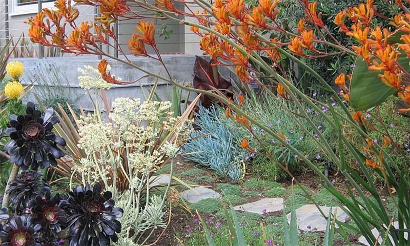 Garden Design Los Angeles Ca Photo Gallery Landscaping Network
