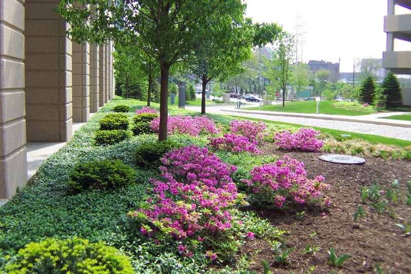 粉红色灌木花园设计Buck＆Sons Landscape，Inc。Hilliard，俄亥俄州