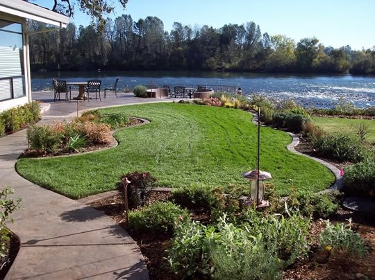 种植设计庭院设计美化网络Calimesa，加州