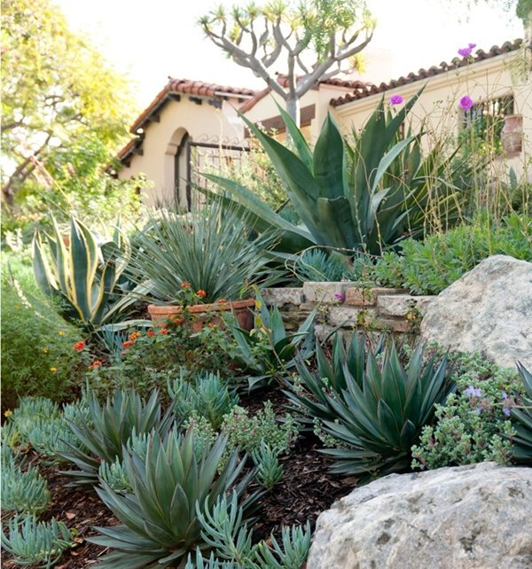 西班牙植物山坡景观Sandy Koepke室内设计洛杉矶，CA
