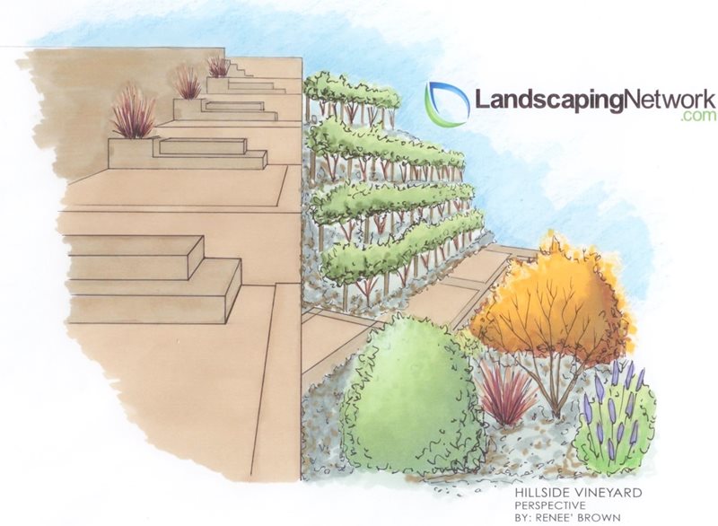 Hillside Drawing
Landscape Drawings
Landscaping Network
Calimesa, CA