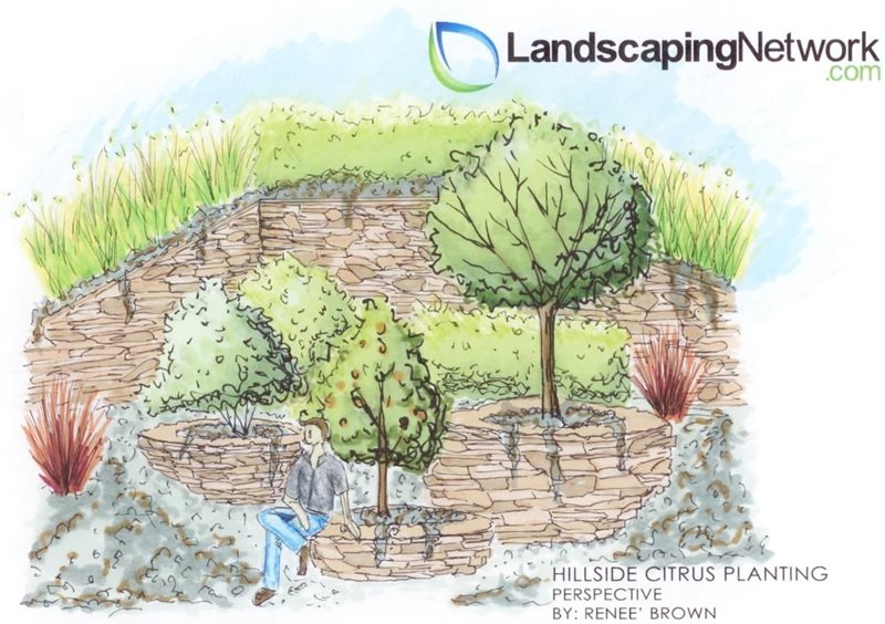 Hillside Drawing
Landscape Drawings
Landscaping Network
Calimesa, CA