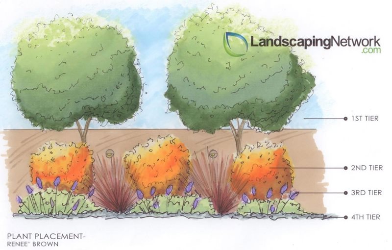 Plant Tiering
Landscape Drawings
Landscaping Network
Calimesa, CA