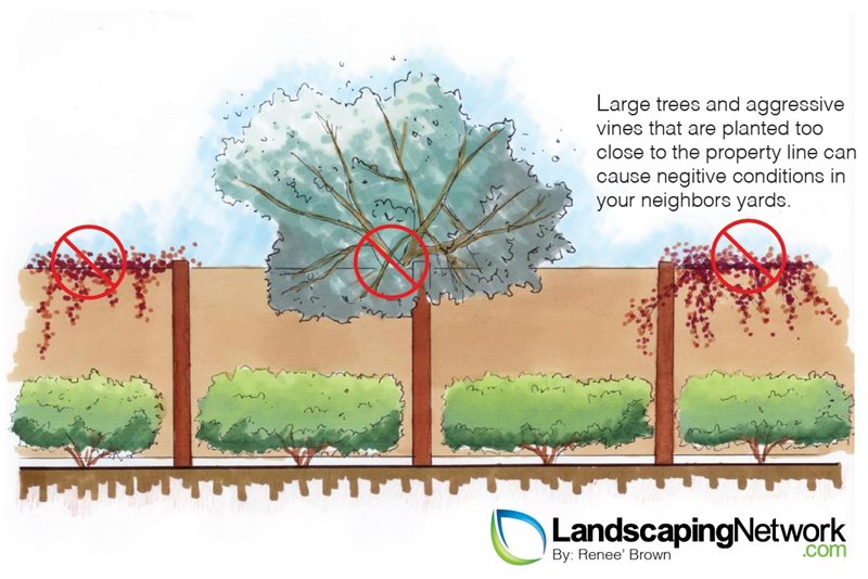 Planting Mistake 5
Landscape Drawings
Landscaping Network
Calimesa, CA