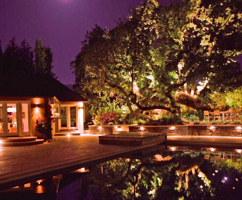 Tree, Oak, Lights, Pool
Lighting
Aesthetic Gardens
Mountain View, CA