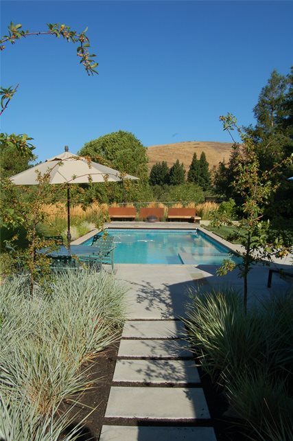 Walkway, Pool
Mediterranean Landscaping
Huettl Landscape Architecture
Walnut Creek, CA