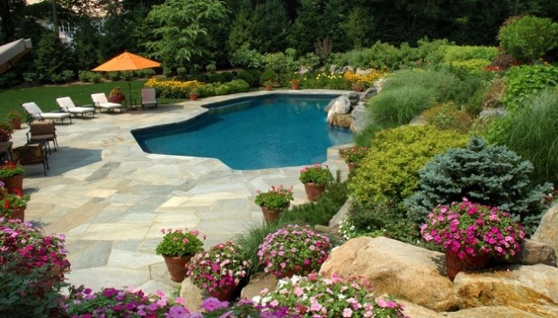 Freeform Swimming Pool
Midwest Landscaping
Property Upkeep Services
Chaska, MN