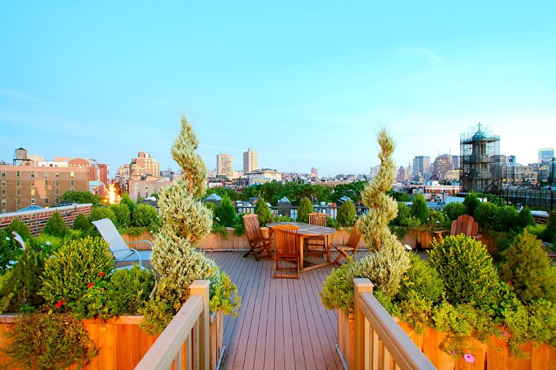 屋顶花园，屋顶植物，屋顶甲板纽约美化琥珀弗雷达家庭与花园设计纽约，纽约