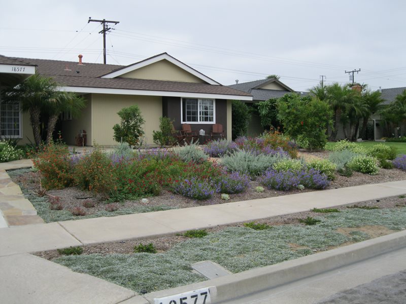 Front Yard Xeriscaping
Orange County Landscaping
Creations Landscape Design
Tustin, CA