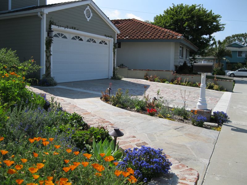 Xeriscape Driveway Plantings
Orange County Landscaping
Creations Landscape Design
Tustin, CA