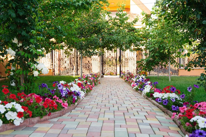 Colorful Paver Walkway, Flower Border
Paver
Landscaping Network
Calimesa, CA
