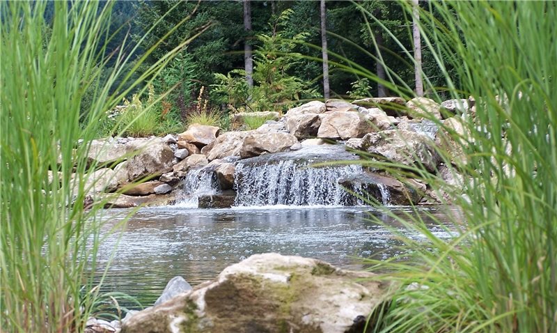 Natural Pond Design, Waterfall Design
Pond and Waterfall
Woody's Custom Landscaping Inc
Battle Ground, WA