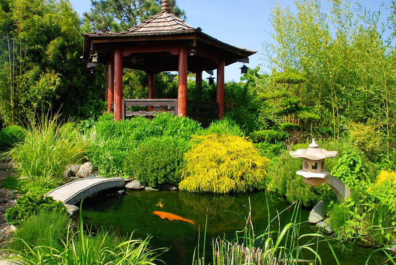 Asian Koi Pond
Recently Added
Landscaping Network
Calimesa, CA