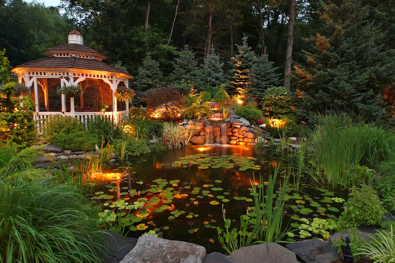 Backyard Koi Pond
Recently Added
Neave Group Outdoor Solutions
Wappingers Falls, NY