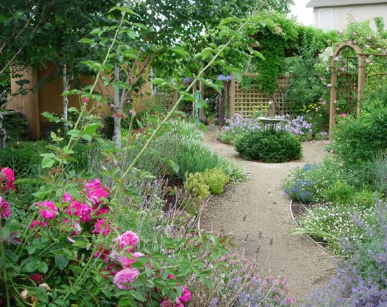 盛开的花园床最近增加了内外戴维斯，加州