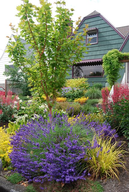 Blooming Washington Garden
Recently Added
N.W. Bloom
Mill Creek, WA