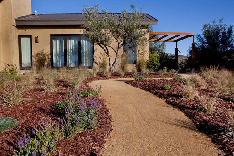 Dg路径，植物间距最近添加到地球景观圣巴巴拉，CA