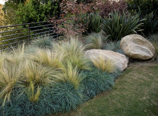 Drought Tolerant Landscape Grasses
Recently Added
Stout Design Build
Los Angeles, CA