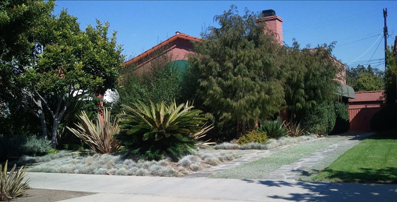18新利足球前院用节水技术栽培的花园植物最近添加的设计构建洛杉矶CA
