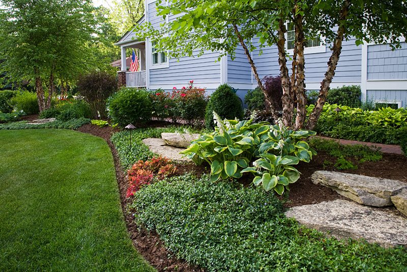 Landscape Bed, Groundcover, Hosta
Recently Added
Grant & Power Landscaping
West Chicago, IL