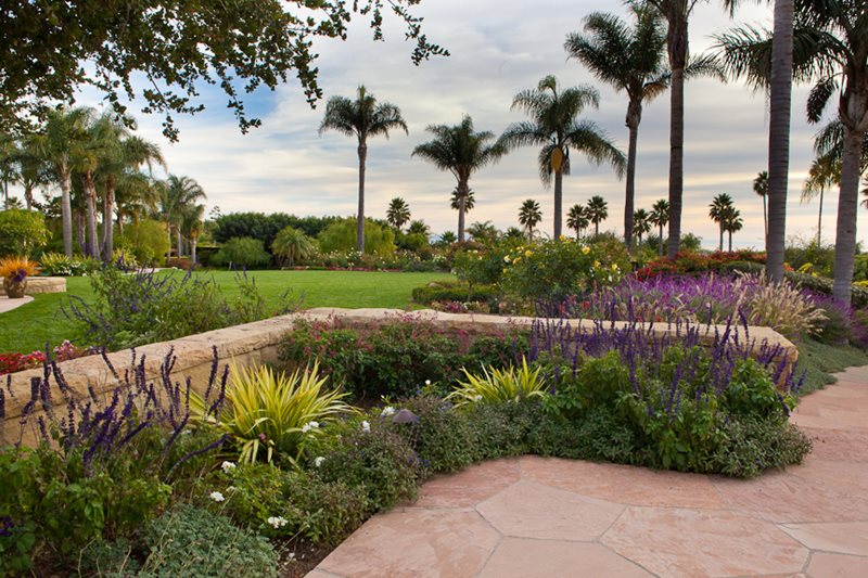 石墙，盛开的植物，棕榈树最近添加到地球景观圣巴巴拉，加州
