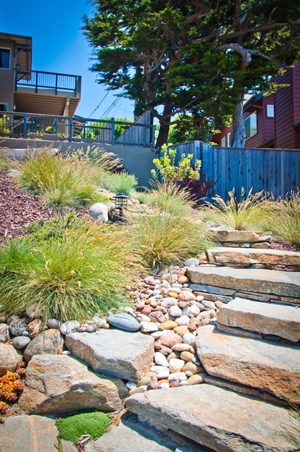 Xeriscape Planting, Grasses, Rocks
Recently Added
Ecotones Landscapes
Cambria, CA