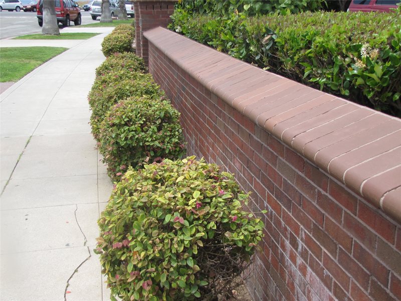 加利福尼亚州加利福尼亚州Calimesa的砖块，挡土墙和景观墙壁绿化网络