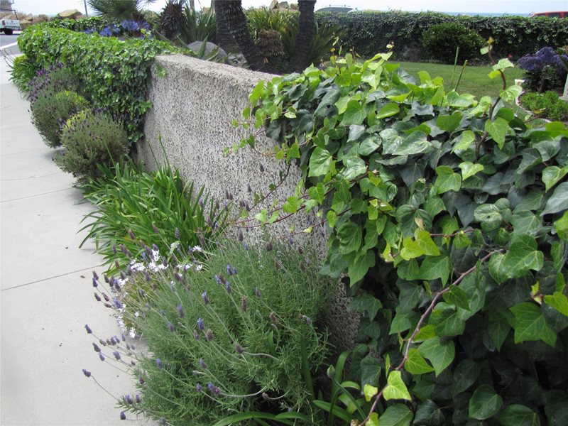 Retaining Wall
Retaining and Landscape Wall
Landscaping Network
Calimesa, CA