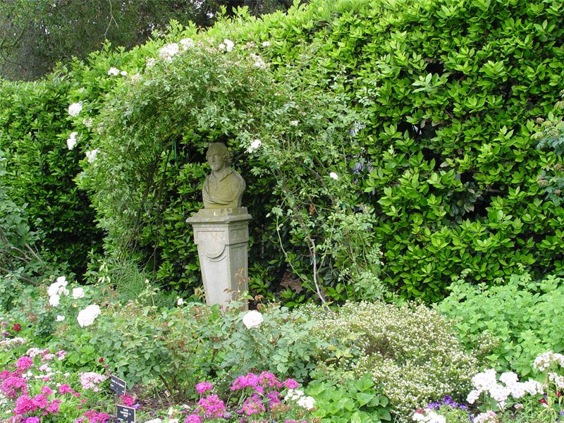 Sculpture, Plants, Shakespeare, Bust
Sculpture in the Garden
Maureen Gilmer
Morongo Valley, CA