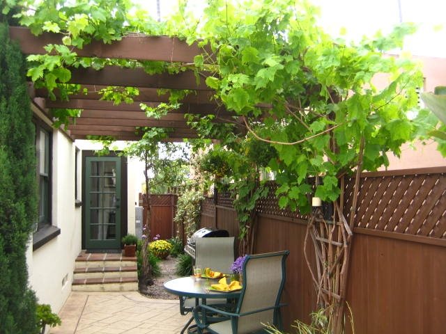 Narrow Patio With Trellis
Side Yards
Landscaping Network
Calimesa, CA