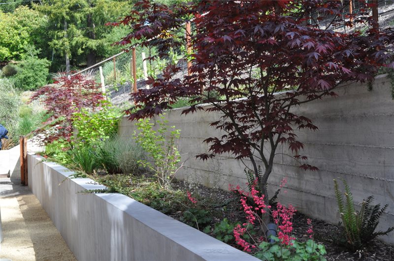 Side Yard, Seat Wall
Side Yards
Huettl Landscape Architecture
Walnut Creek, CA