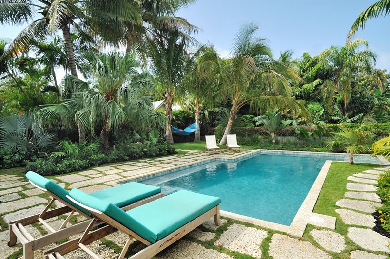 热带，游泳池，躺椅，棕榈树，绿色东南美化环境绿化Craig Reynolds景观建筑Key West，佛罗里达州