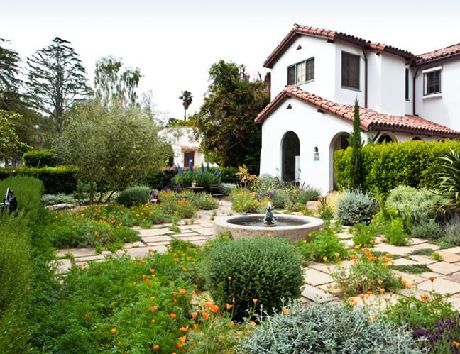 耐旱前花园南加州景观约瑟夫马雷克景观建筑圣莫尼卡，加利福尼亚州