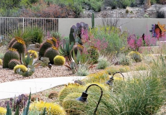 Southwestern Garden Plants
Southwestern Landscaping
Gardening Insights
Tuscon, AZ