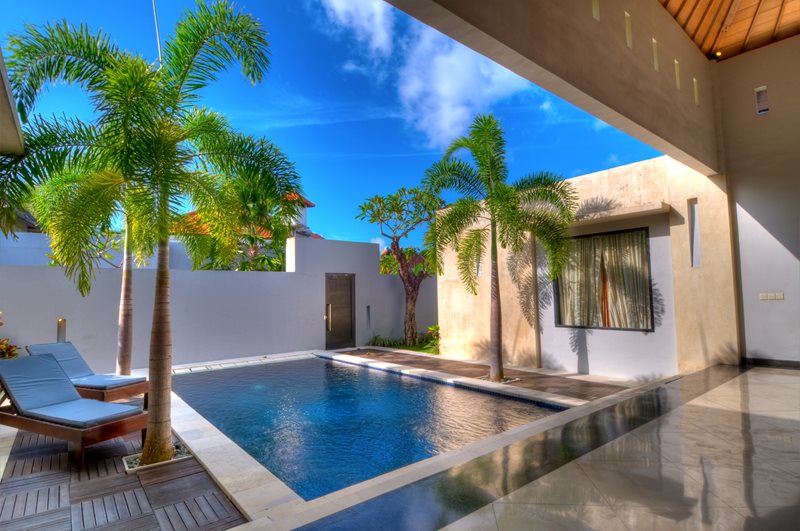 Small Courtyard Pool, Palm Trees
Tropical Pool
Landscaping Network
Calimesa, CA