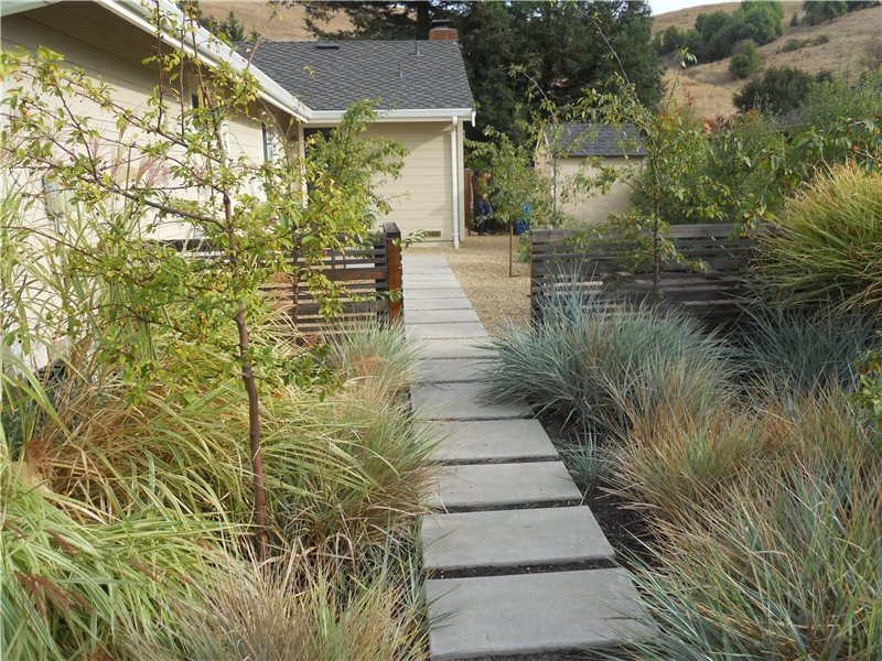 Paver Path
Walkway and Path
Huettl Landscape Architecture
Walnut Creek, CA
