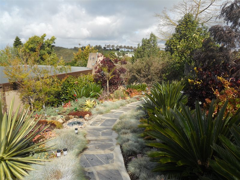 植物，走道走道和路径景观网络卡里梅萨，加州