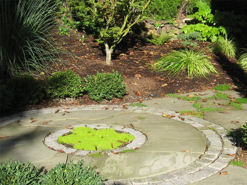 Stone, Circle, Moss
Washington Landscaping
Spring Greenworks
Bellevue, WA