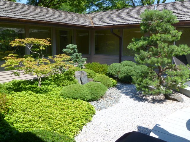 Japanese Landscape Design Ideas, What Plants To Use In A Japanese Garden