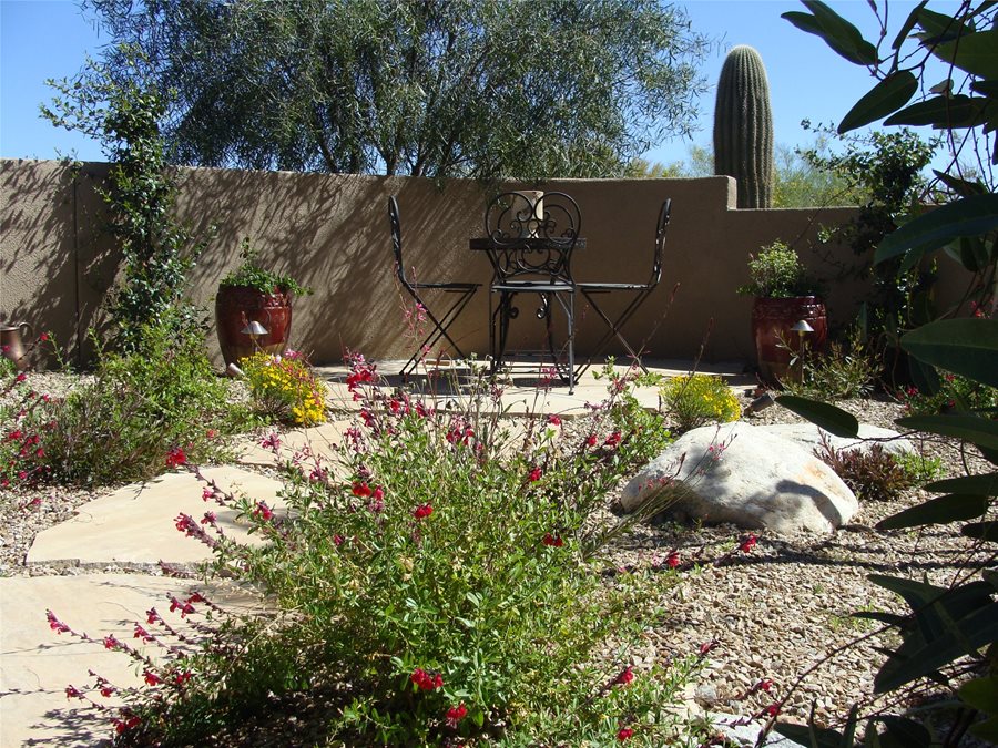 Colorful Desert Courtyard - Small Patio Desert Patio Casa Serena LanDscape Designs Llc 2823