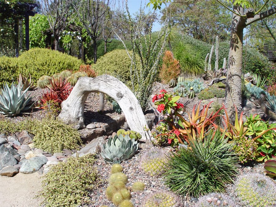 Landscaping With Succulents, Landscaping With Succulents And Rocks
