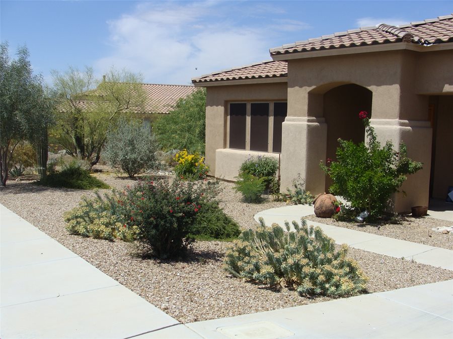 Colorful Desert Courtyard Landscaping Network - Front Yard Desert Landscape Design Ideas