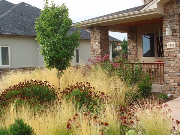front yard xeriscaping grasses j s landscape_8746