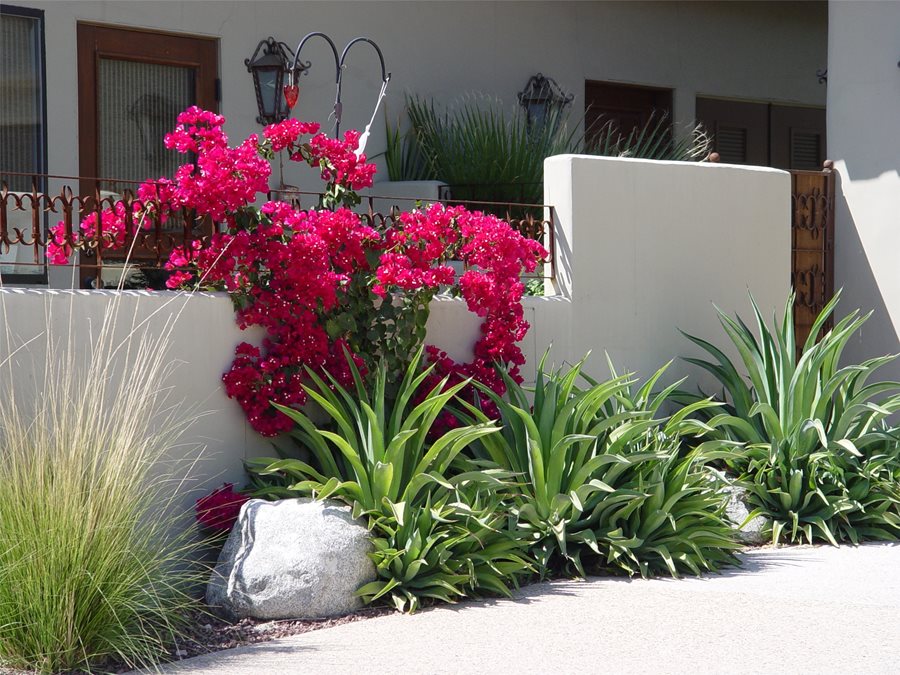 Driveway Landscaping - Landscaping Network