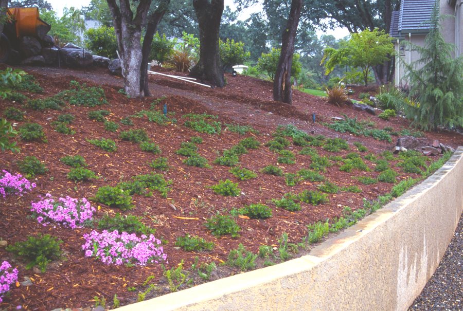 Hillside Erosion Control Landscaping, Landscape Fabric To Prevent Erosion